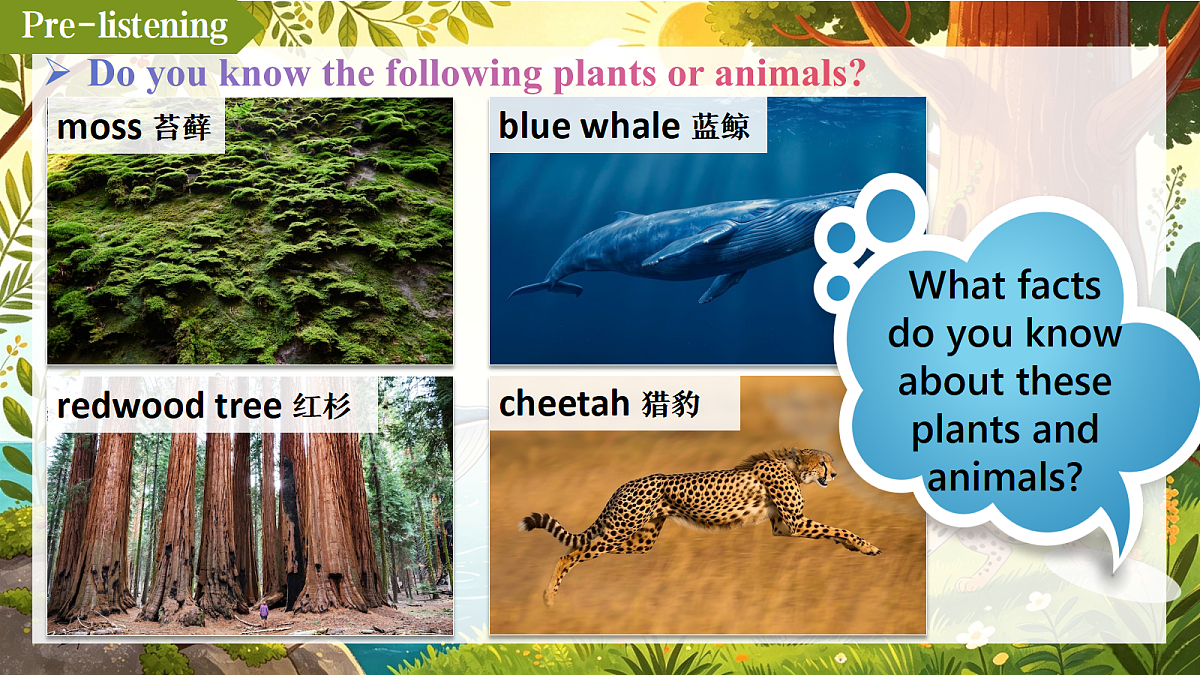 18672088第5页