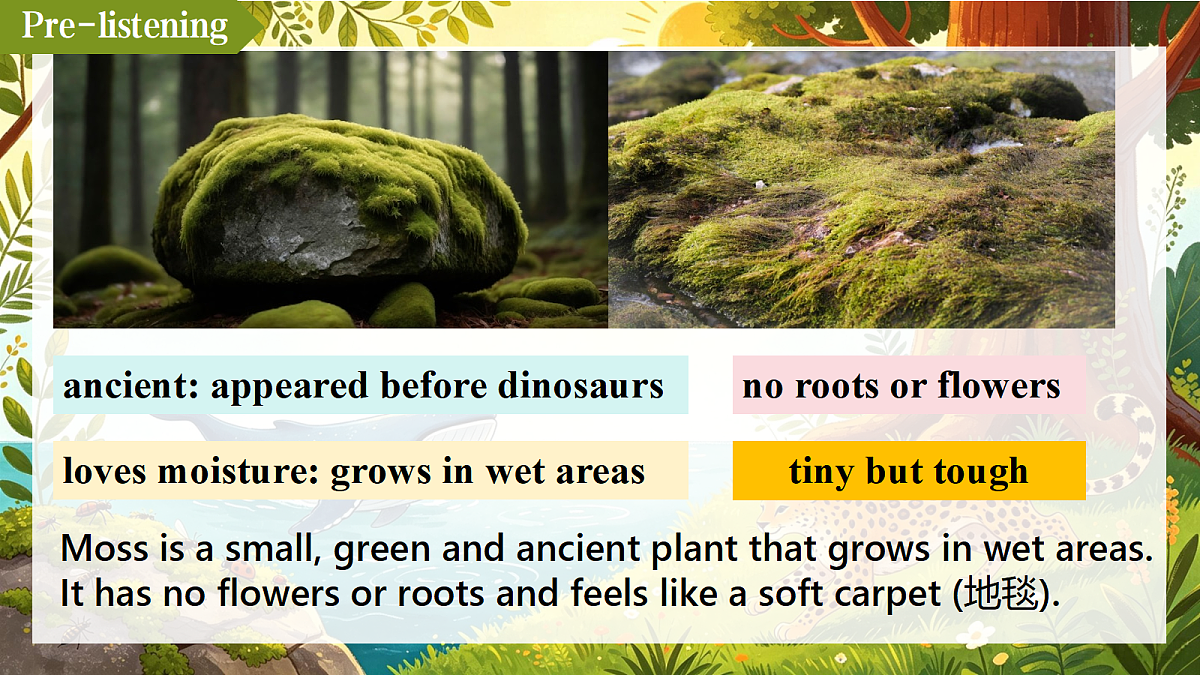 18672088第6页