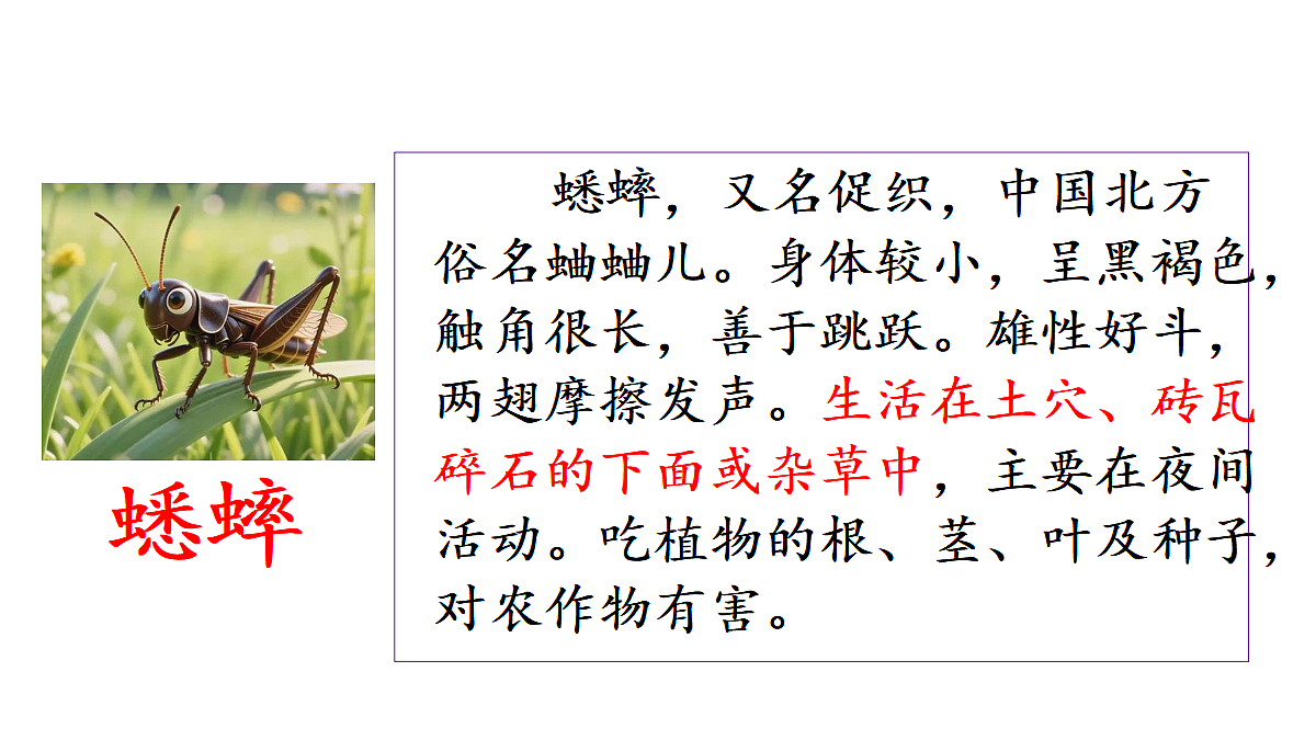 18672331第3页