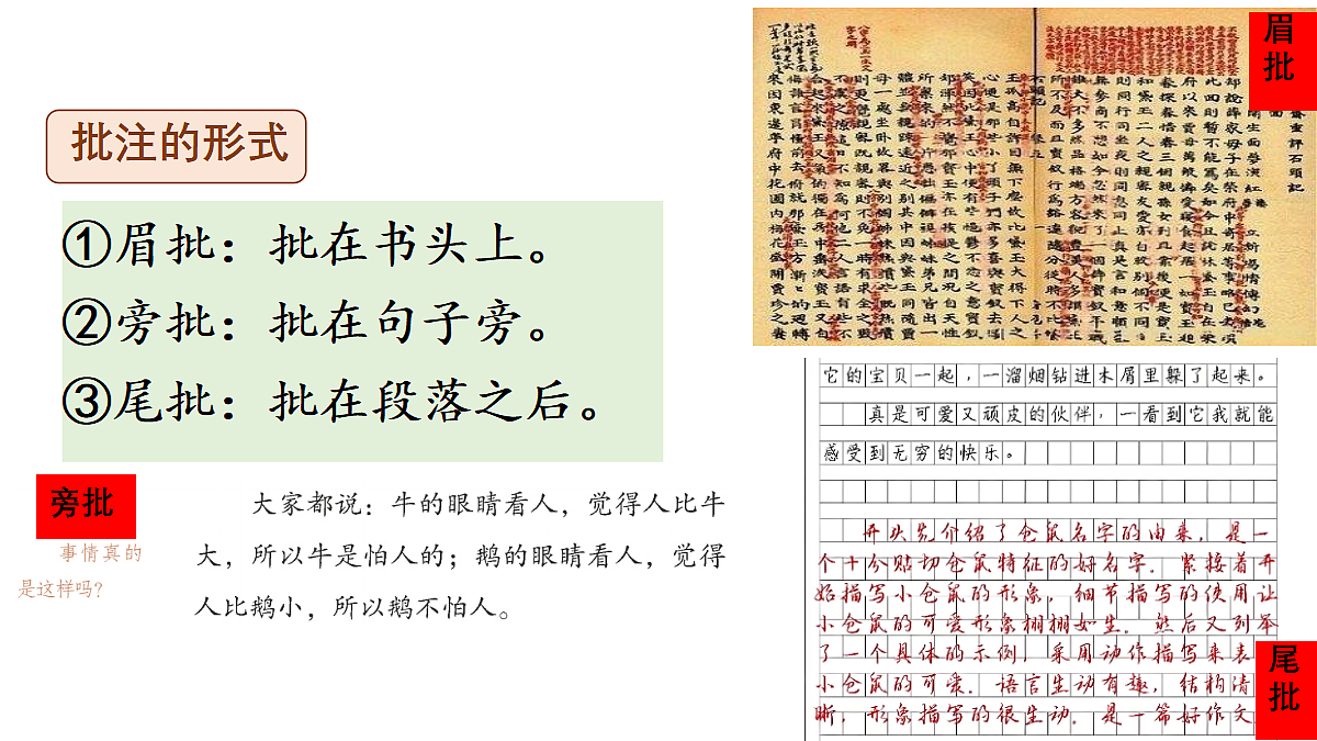 18672339第3页