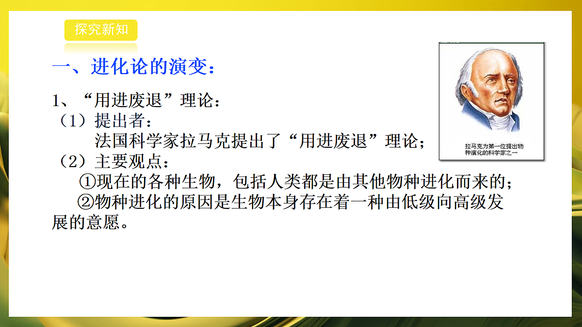 2026浙教版九上科学 4.2 生物的进化（2）第4页