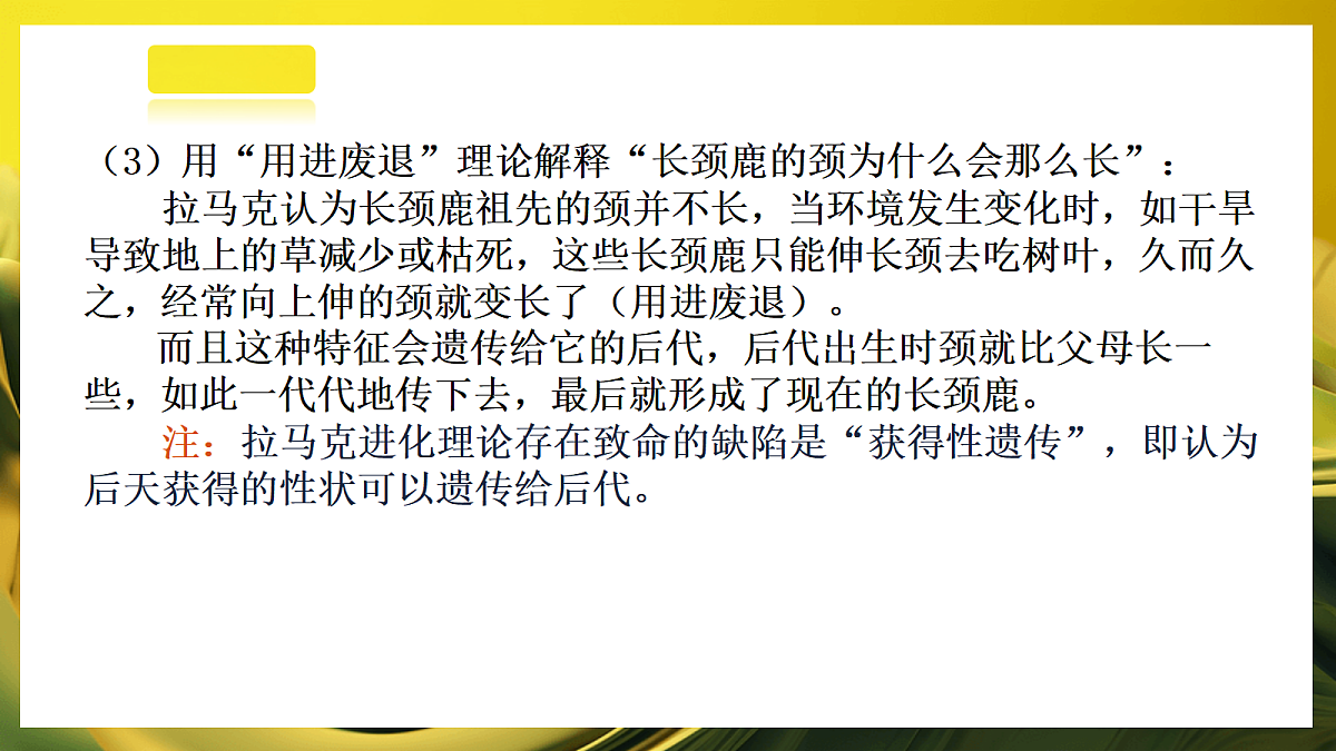2026浙教版九上科学 4.2 生物的进化（2）第5页