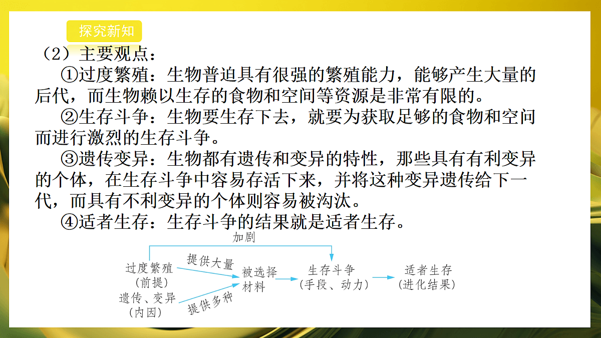 2026浙教版九上科学 4.2 生物的进化（2）第7页