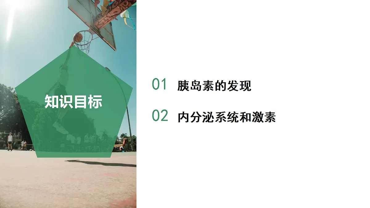 18672988第2页