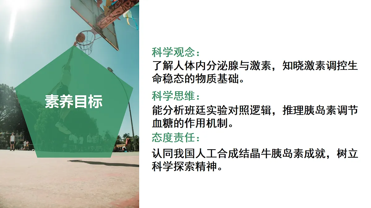 18672988第3页
