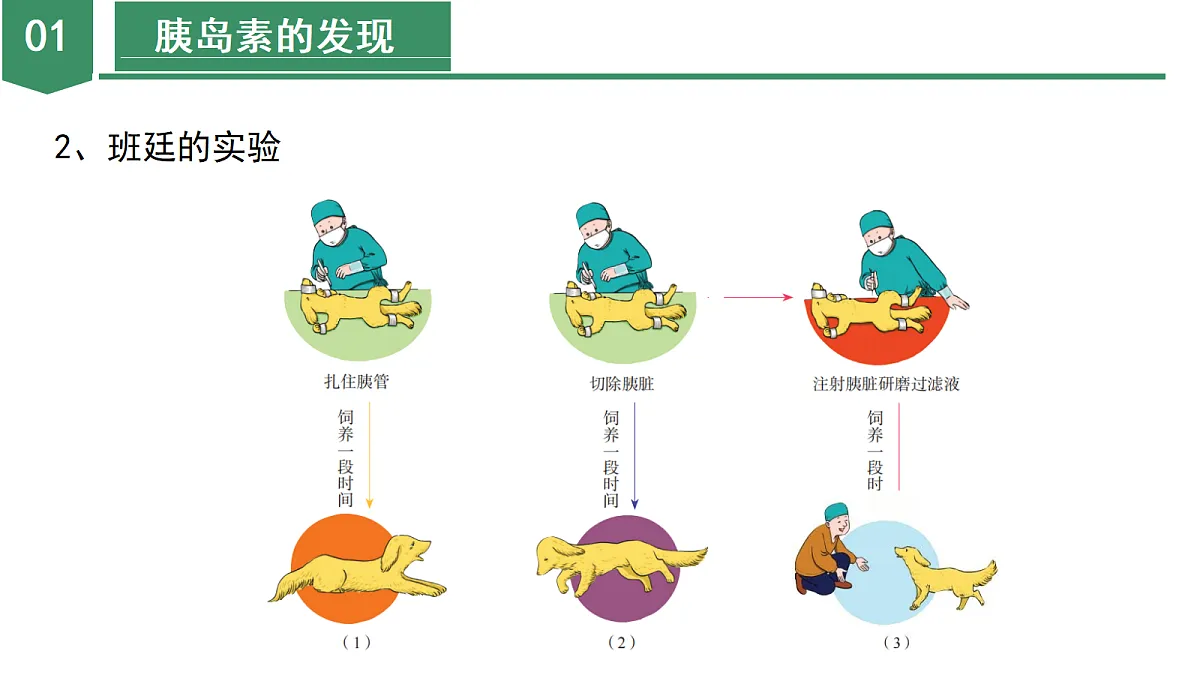 18672988第7页
