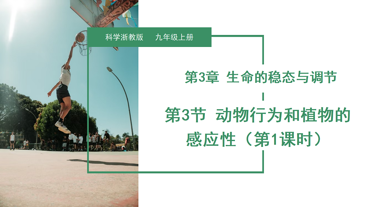 18672990第1页