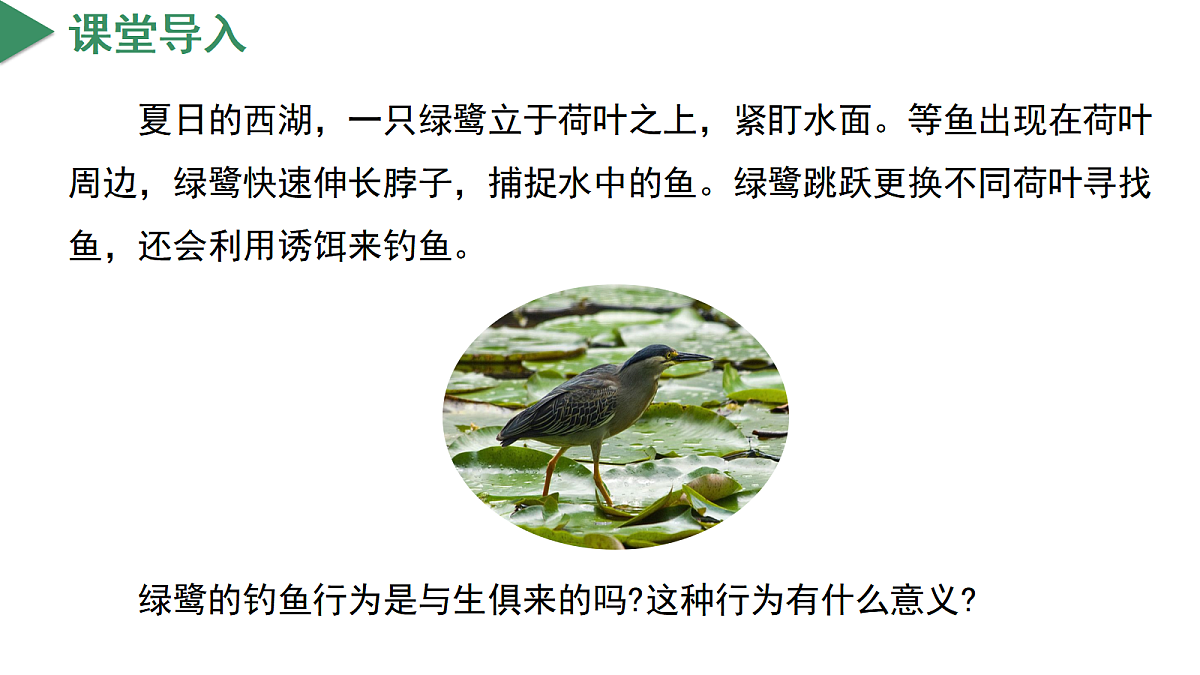 18672990第4页