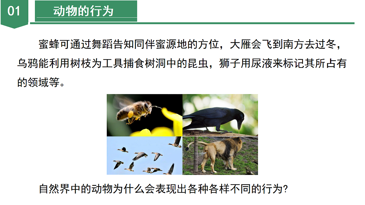 18672990第6页