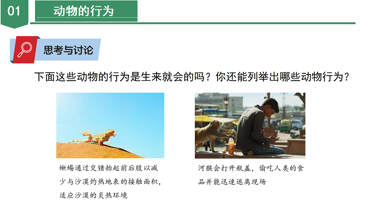 18672990第7页