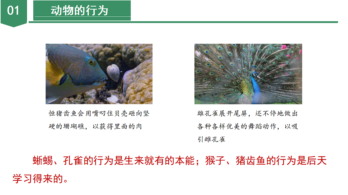 18672990第8页