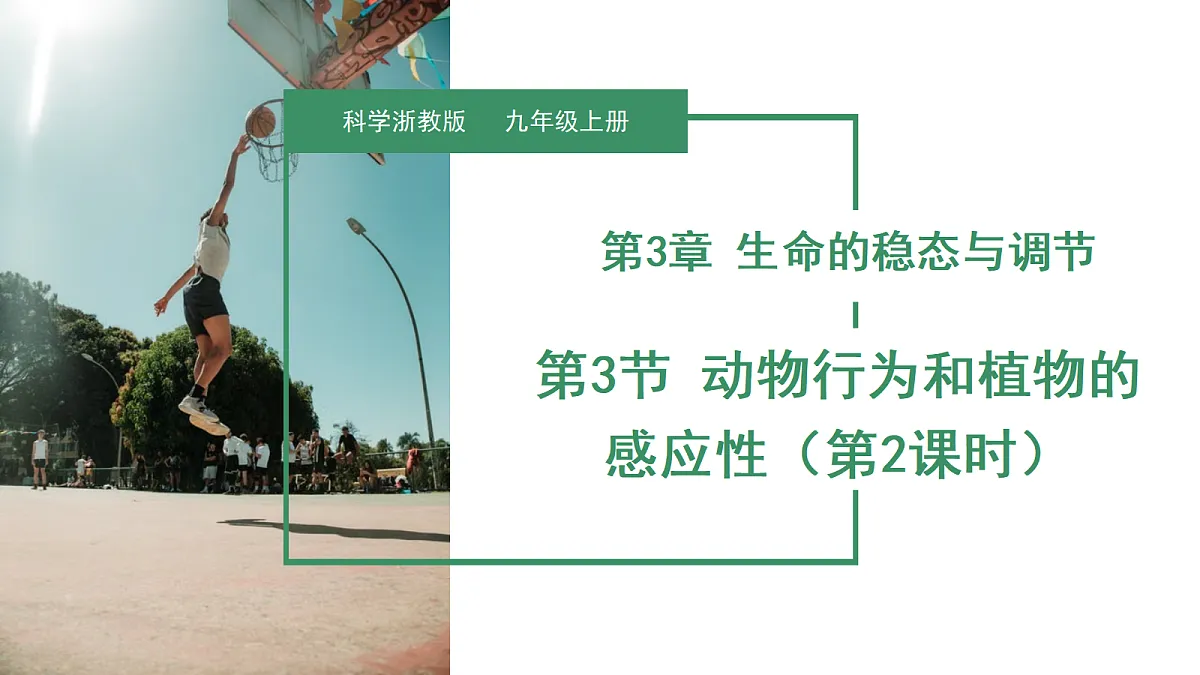 18672991第1页