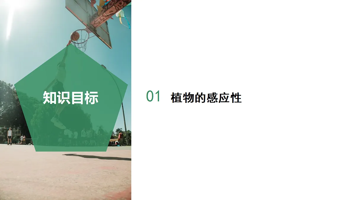 18672991第2页