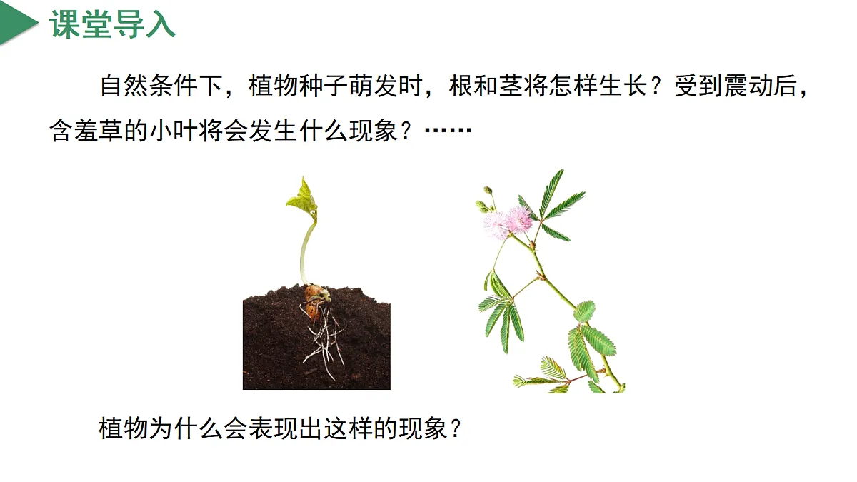 18672991第4页