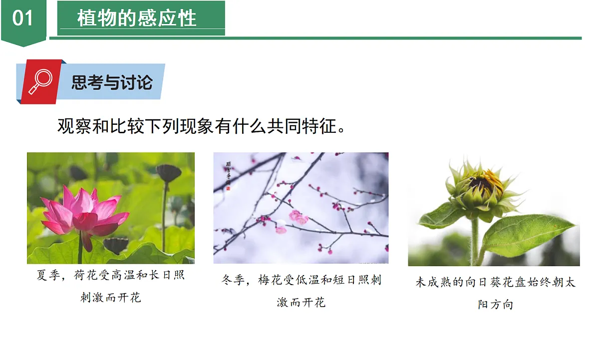 18672991第6页