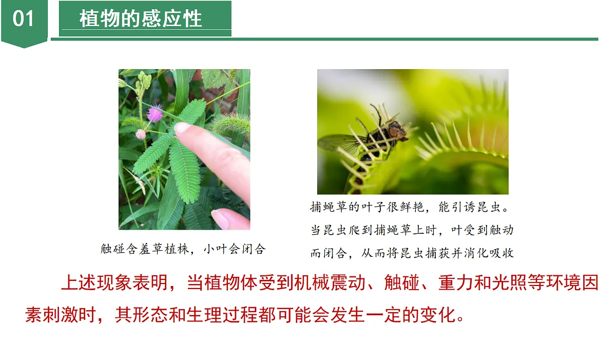 18672991第7页