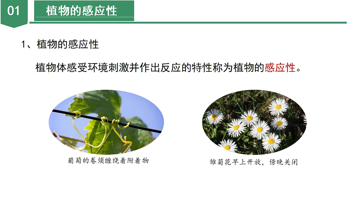 18672991第8页