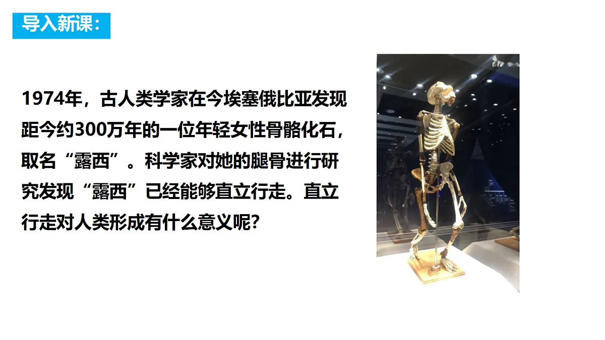 18673204第1页