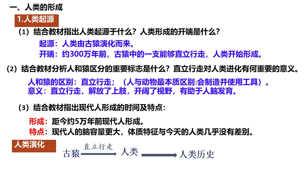 18673204第3页