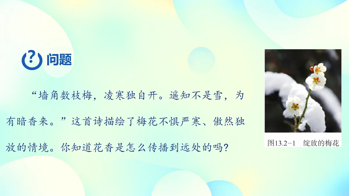 18673249第2页