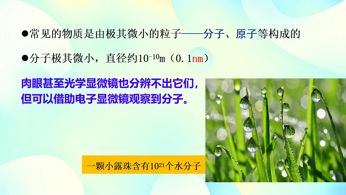 18673249第4页