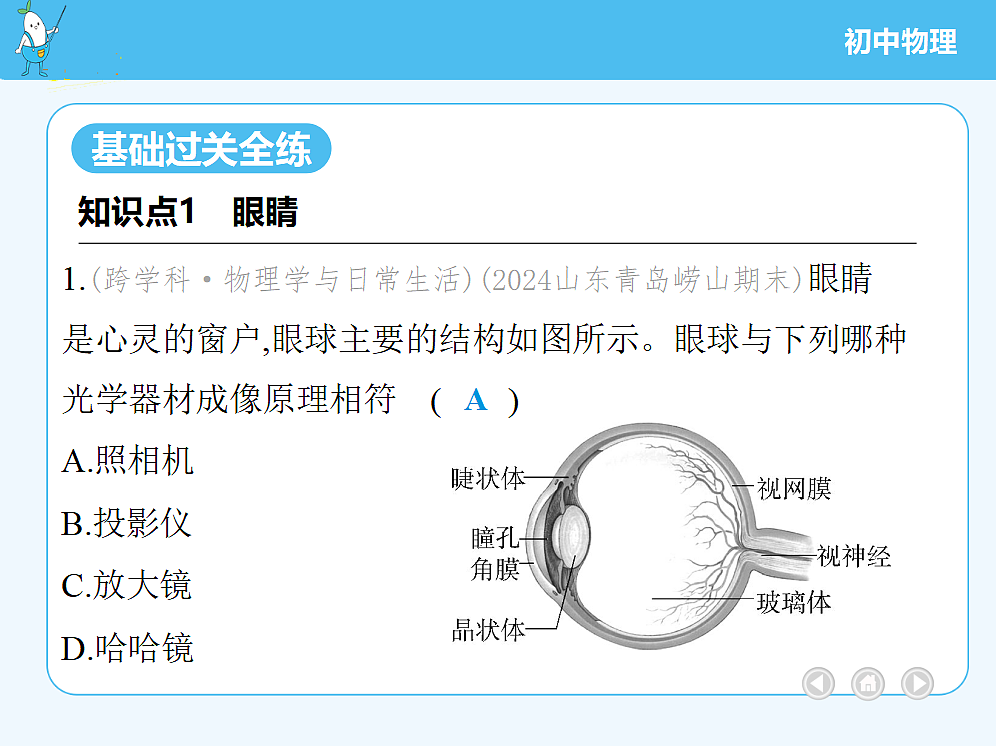 18677016第3页
