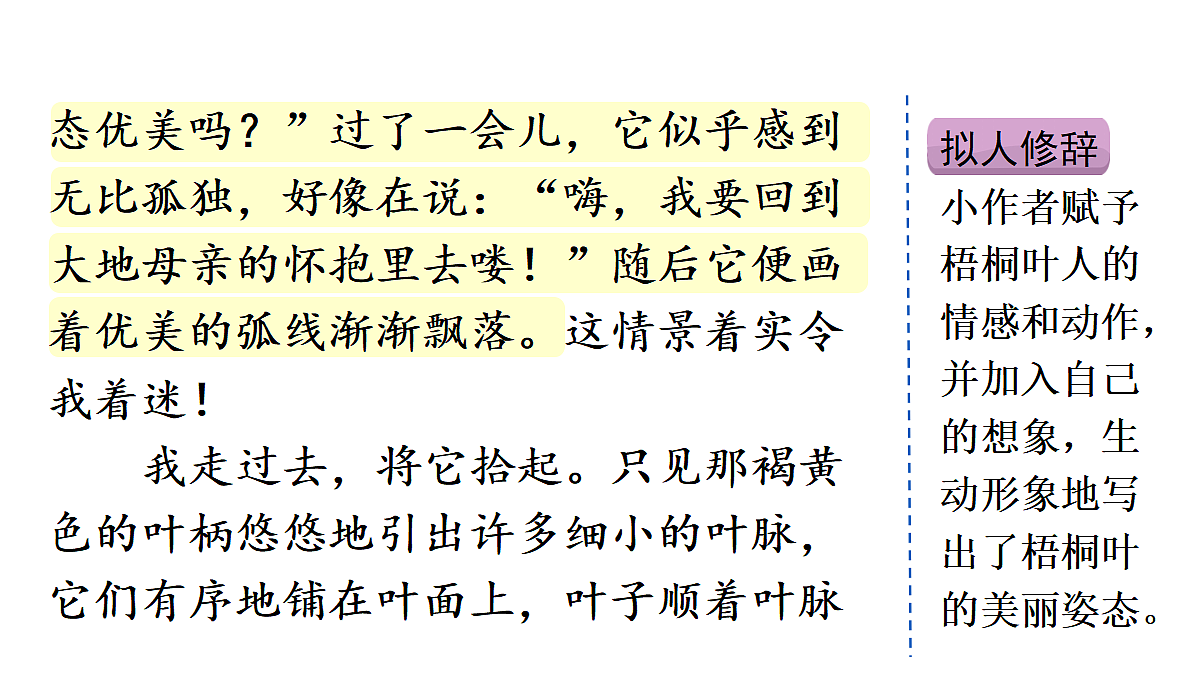 18677427第7页