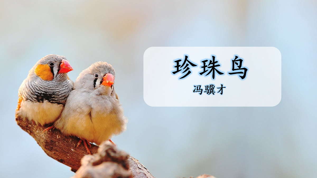 18677618第1页