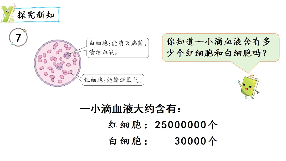 18678189第3页
