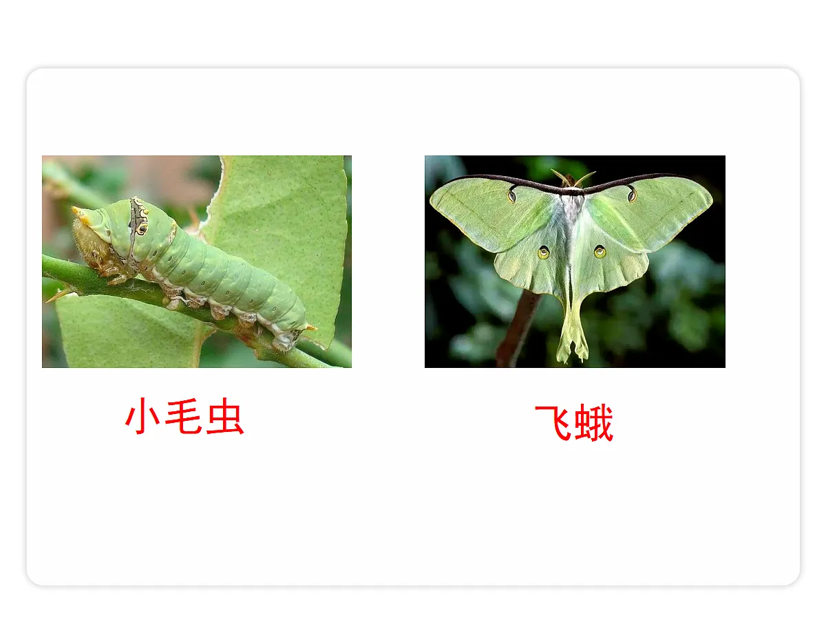 18679195第3页