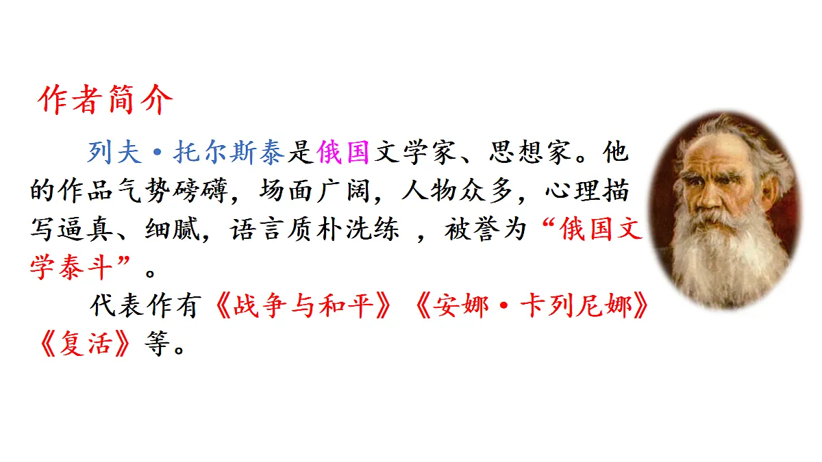 18682086第3页
