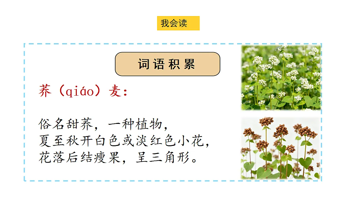 18682097第7页
