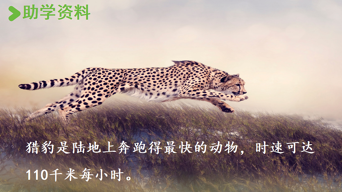 【教学课件】6.什么比猎豹的速度更快第1课时第3页