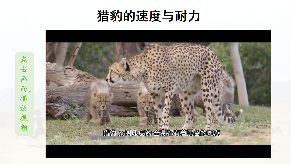 【教学课件】6.什么比猎豹的速度更快第1课时第4页