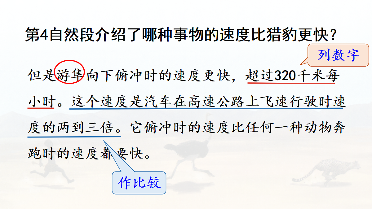 【教学课件】6.什么比猎豹的速度更快第2课时第6页