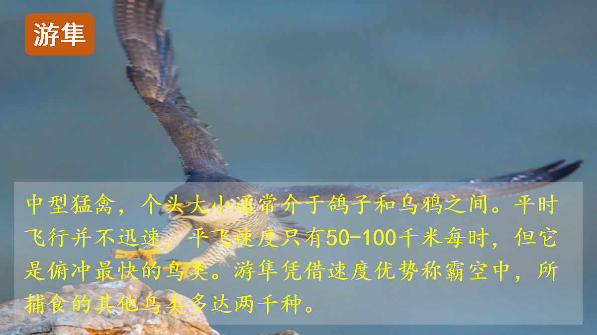 【教学课件】6.什么比猎豹的速度更快第2课时第7页