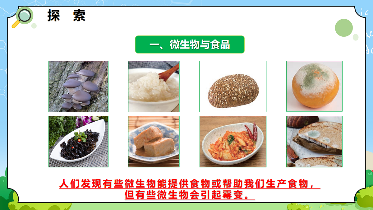 1.7 《微生物与人类》 - 小学科学五年级上册 同步教学课件（教科版2024）第4页