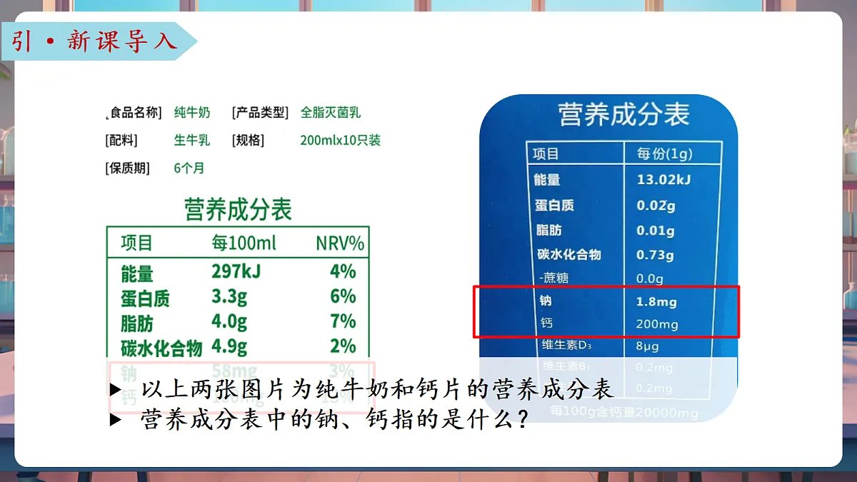 第二节 元素（教学课件）第4页