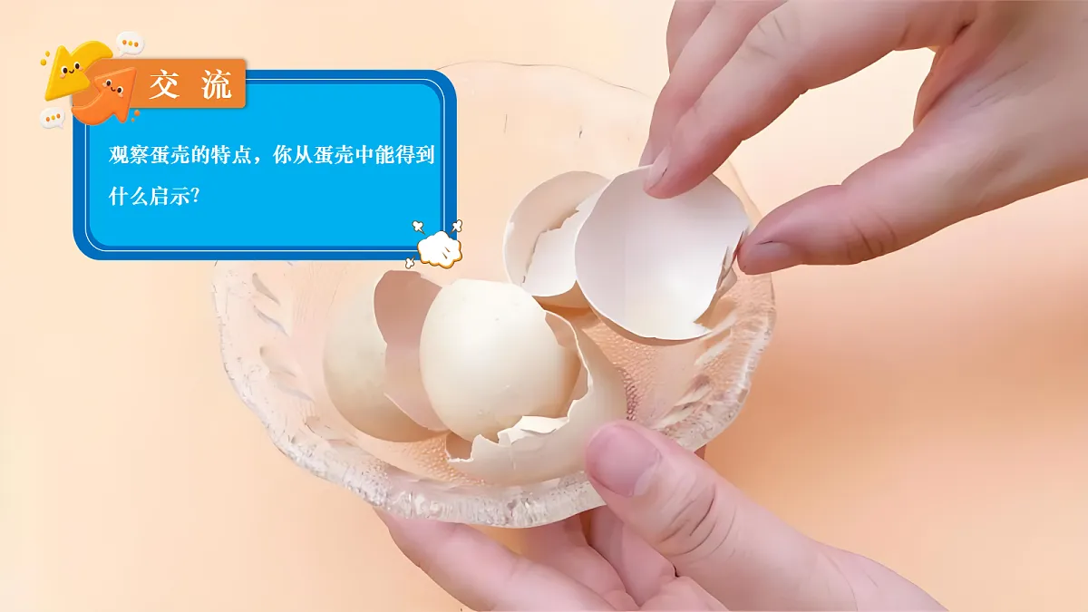 18683110第1页
