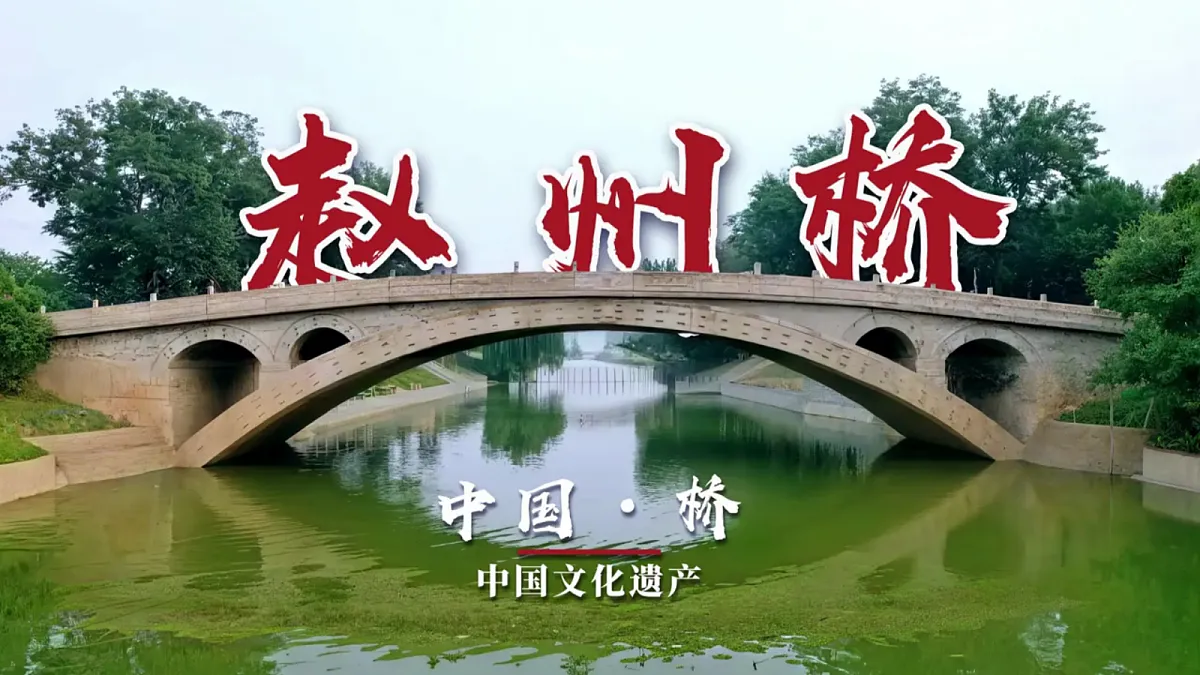 18683110第5页