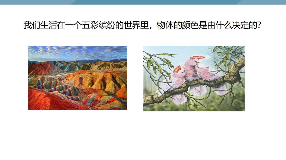 18683150第7页
