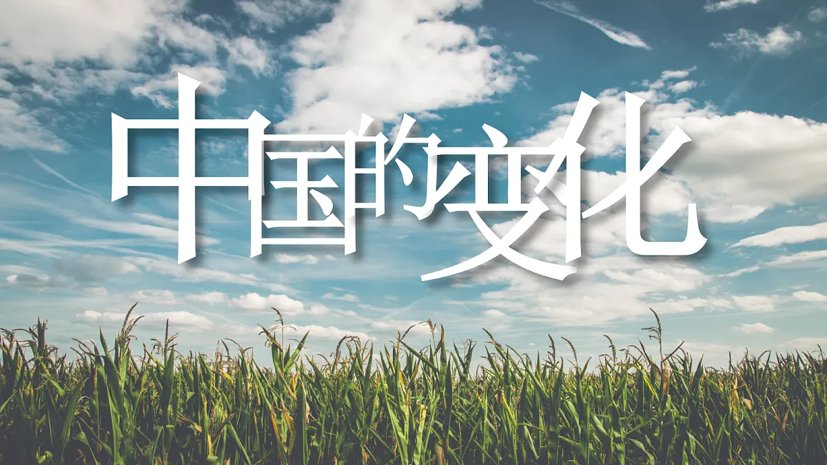 18683300第3页