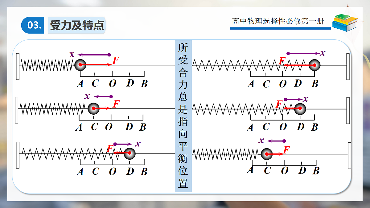 2.3简谐运动的回复力和能量第5页