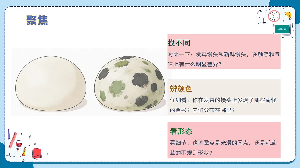 1.4 馒头发霉了（教学课件）【含AI动画】科学青岛版六年级上册（新教材）第6页