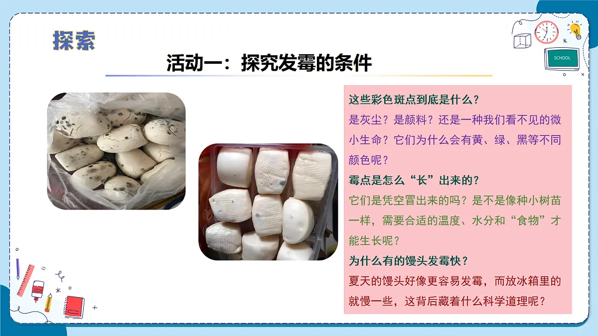 1.4 馒头发霉了（教学课件）【含AI动画】科学青岛版六年级上册（新教材）第8页