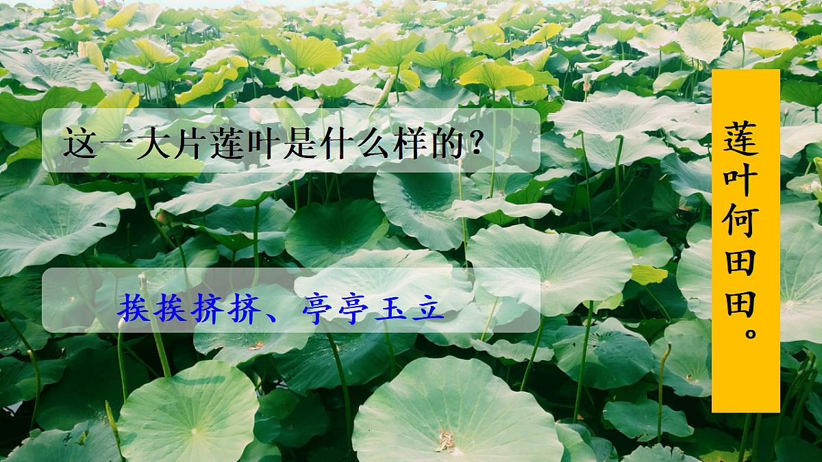 18683530第7页