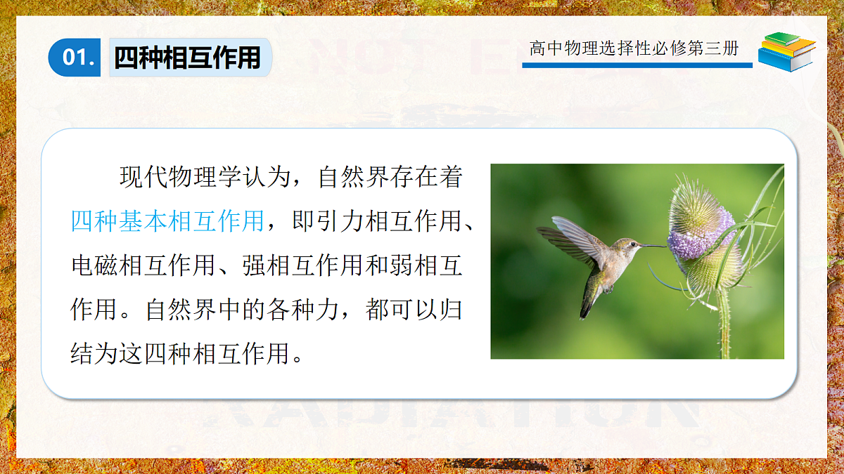 5.3核力与结合能第6页