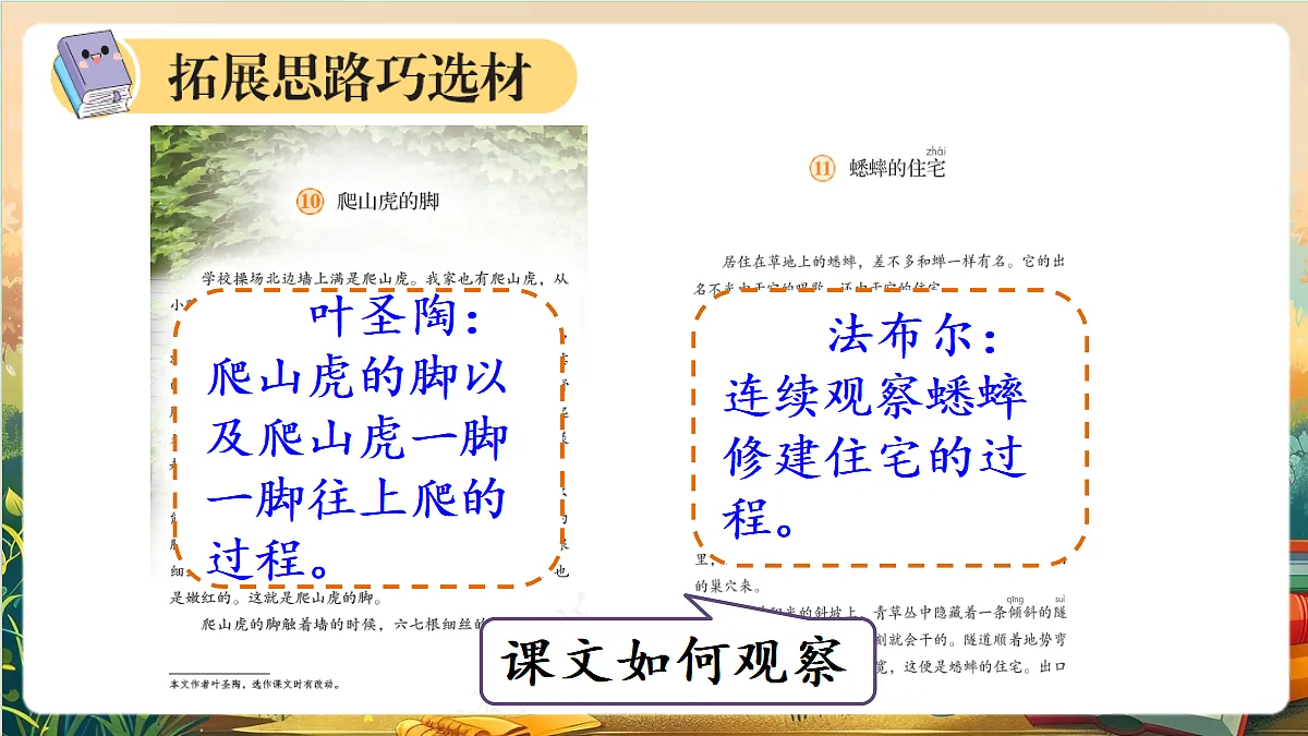 【核心素养】部编版小学语文四年级上册习作：写观察日记课件第8页