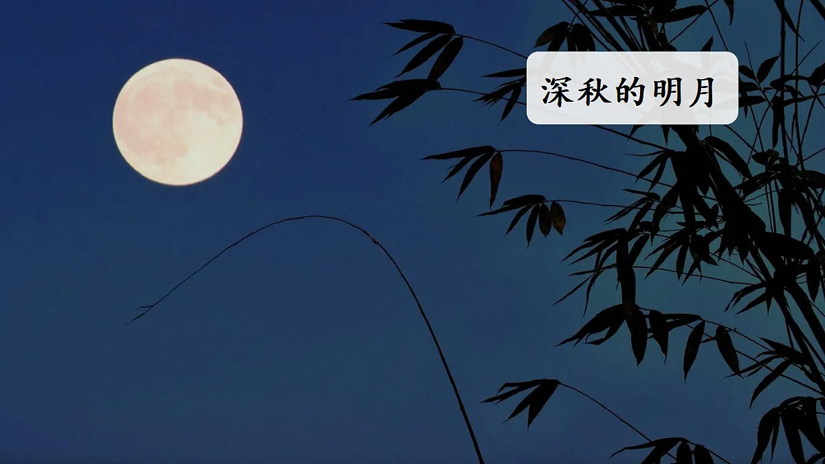 【教学课件】习作：我最喜爱的季节第1课时第5页