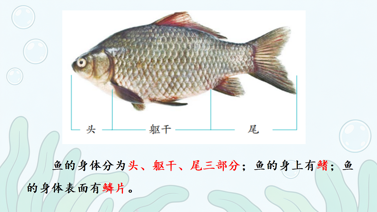 18686043第4页